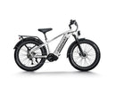 Himiway D5 Pro / All-terrain Electric Fat Bike