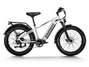 Himiway D5 (Zebra) / All-terrain Electric Fat Bike