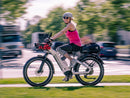 Himiway D5 ST(Zebra ST) / All-terrain Electric Fat Bike