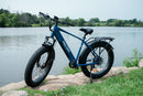 Fat Tire Electric Bike