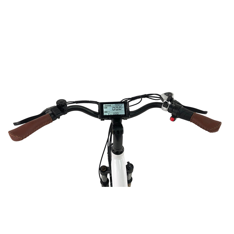 GlareWheel EB-RUPRO Step-thru Electric City Bike