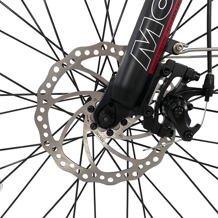 GlareWheel EB-RUPRO Step-thru Electric City Bike