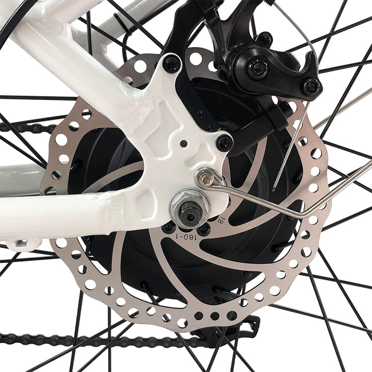GlareWheel EB-RUPRO Step-thru Electric City Bike