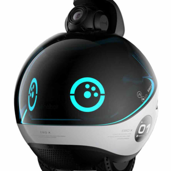 EnabotEBOXFamilyRobotCompanion