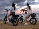 Hynox Flex 1300W Foldable Utility Commuter Ebike