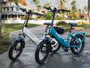 Hynox Flex 1300W Foldable Utility Commuter Ebike