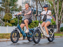 Hynox Flex 1300W Foldable Utility Commuter Ebike