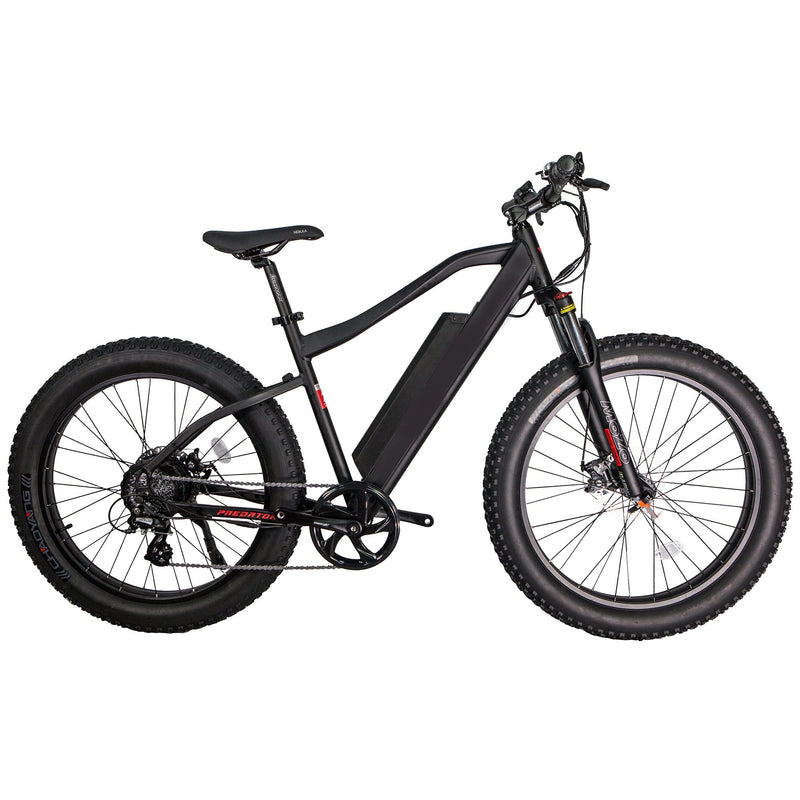 GlareWheel EB-PR Electric Bike Fat Tire