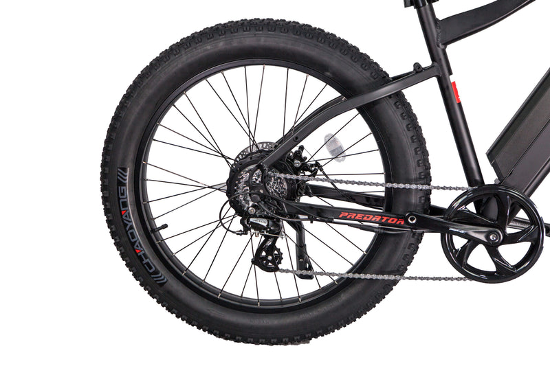GlareWheel EB-PR Electric Bike Fat Tire