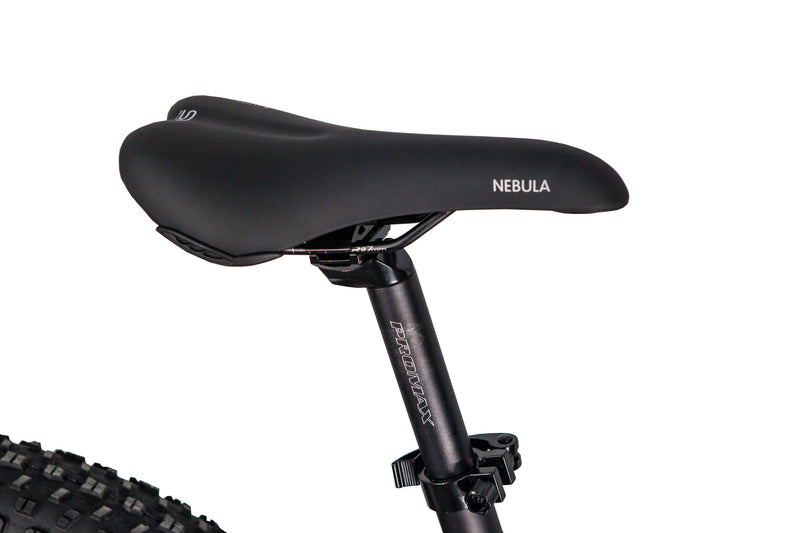 GlareWheel EB-PR Electric Bike Fat Tire