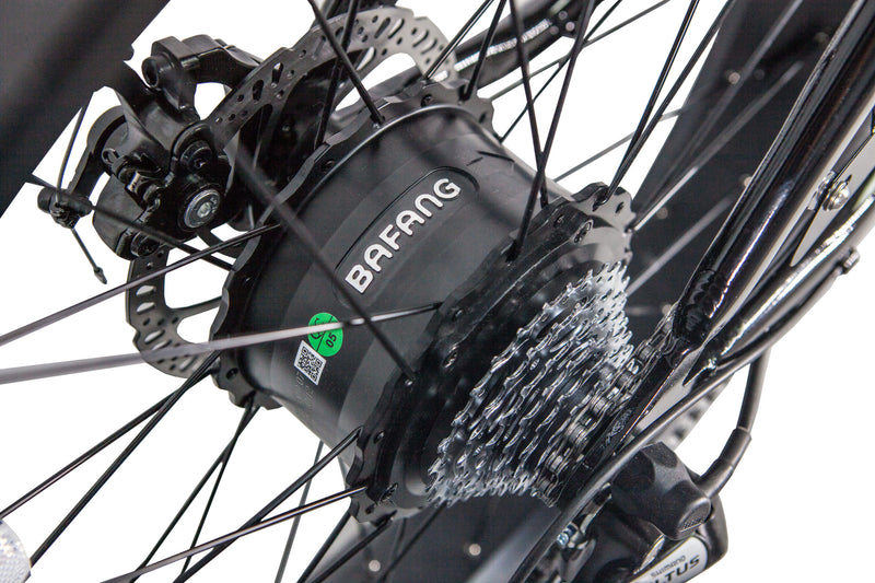 GlareWheel EB-PR Electric Bike Fat Tire