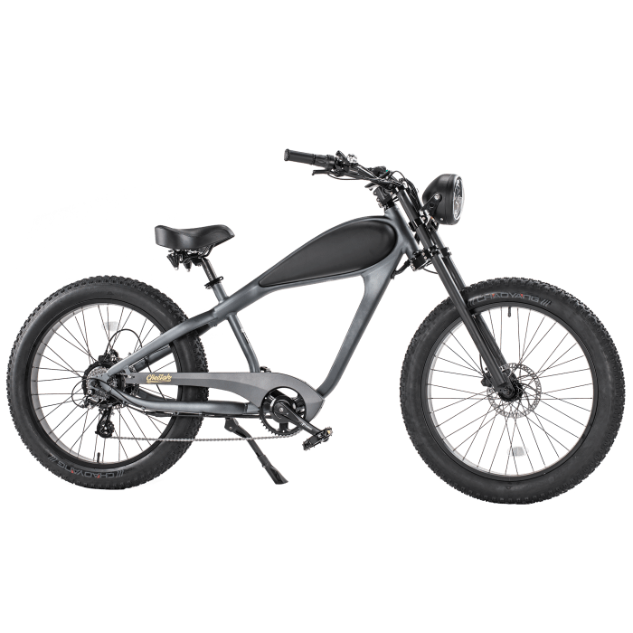GlareWheel EB-CH Electric Bike Fat Tire 750W Cruiser