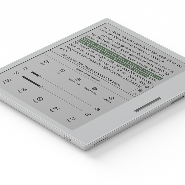 Boox Go Color 7 | Wellbots | Free Shipping