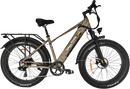 Fat Tire Electric Bike