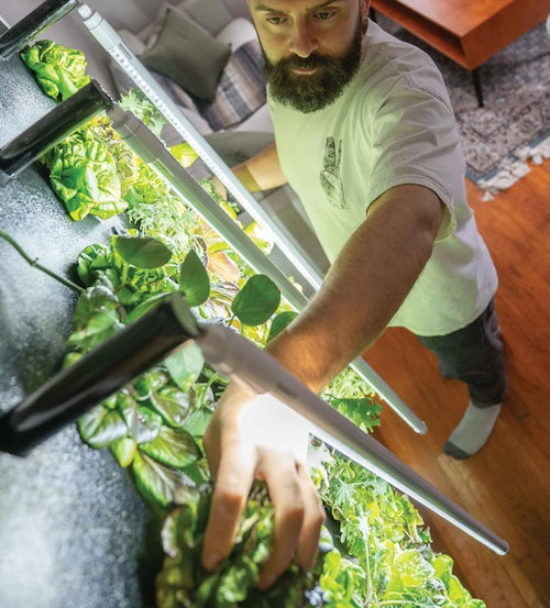 Just Vertical Eco Living Green Wall
