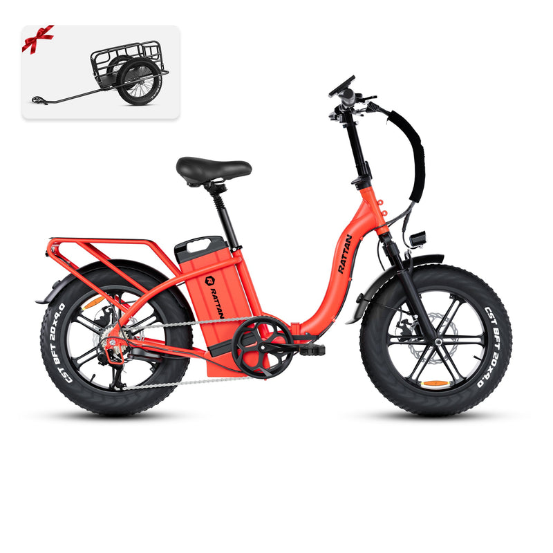 Bicicleta eléctrica de ratán Pinus
