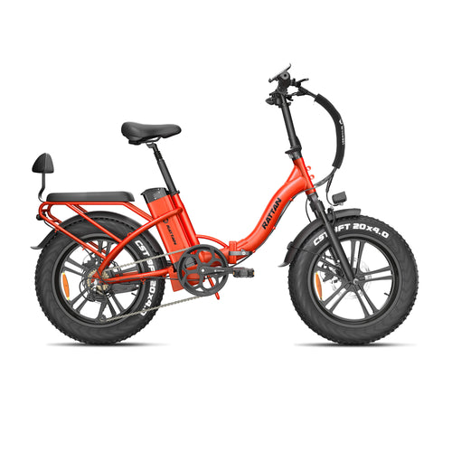 Bicicleta eléctrica de ratán Pinus
