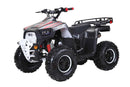 Lander-XD 125UF 125cc Utility ATV, Automatic with Reverse, 8-inch Wheels, Ages 9-12