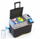 Acopower LionCooler Pro Portable Solar Fridge Freezer, 42 Quarts - With Battery / Wellbots
