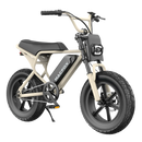Macfox M16 Electric Bike
