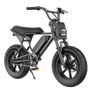 Macfox M16 Electric Bike