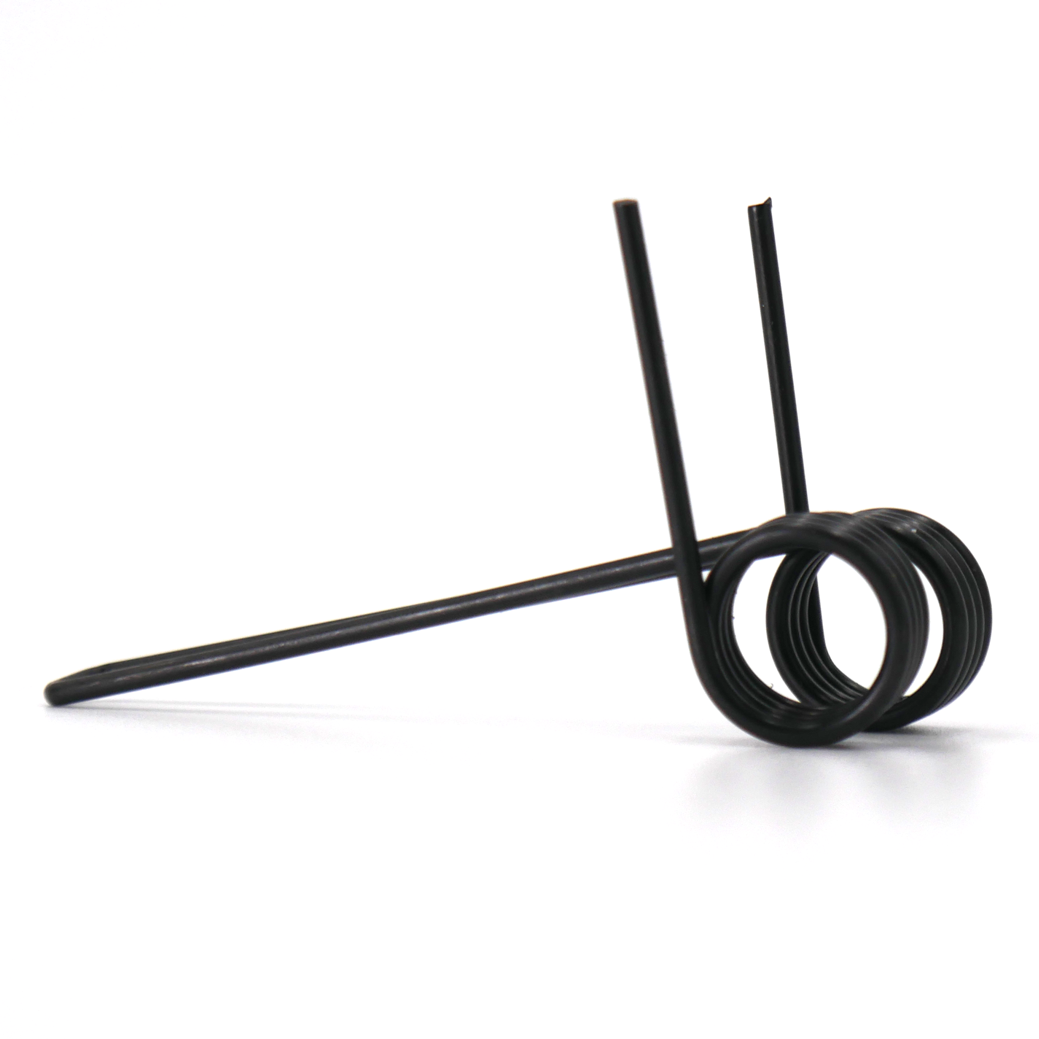 Main Spring