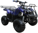 Mini 125cc Utility Style ATV, Electric Start, Automatic with Reverse, 7-inch Wheels, Ages 9-12