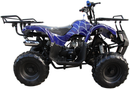 Mini 125cc Utility Style ATV, Electric Start, Automatic with Reverse, 7-inch Wheels, Ages 9-12