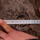 Narcist Brown Marble Vessel Sink High-Gloss Polished