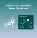 Niwa CO2 Sensor / Wellbots