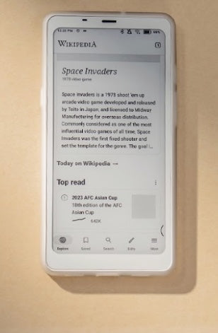 Onyx Boox Palma e-reader / Wellbots