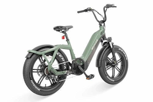Bicicleta eléctrica de dos ruedas VELOWAVE Pony