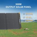 PECRON PV100 Solar Panel