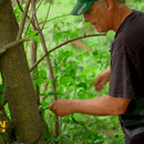 Cámara de juegos Bresser de 5 megapíxeles (paquete de 4)