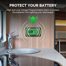 Renogy RBM500 - Monitor de batería de 500 A