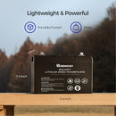 Renogy RBT100LFP12S - Batería de fosfato de hierro y litio inteligente de 12 V y 100 Ah