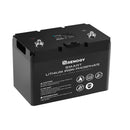 Batería de litio inteligente Renogy de 12 V y 100 Ah y módulo RENOGY one core y BT-2