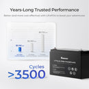 Batería de fosfato de hierro y litio Renogy de 24 V y 50 Ah