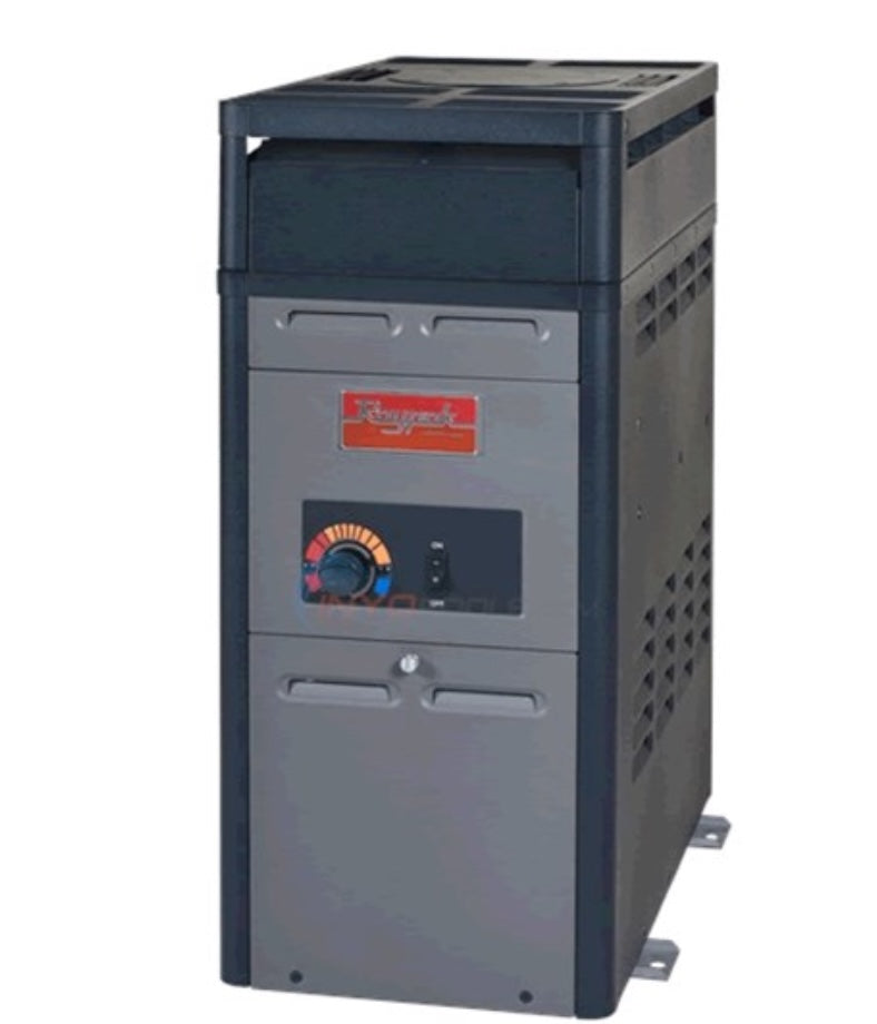 Calentador de piscina a gas natural RUUD con encendido analógico, 105 000 BTU, 0-5 000 BTU
