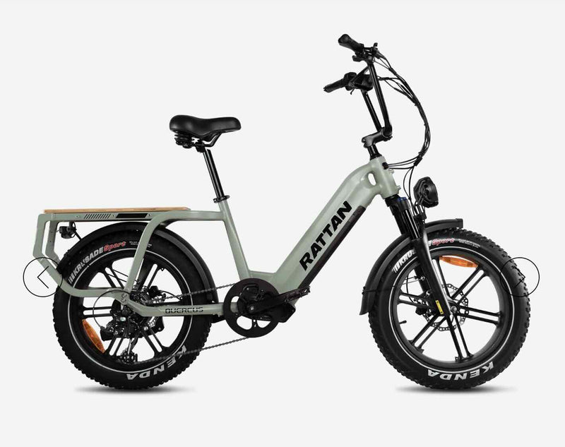 Rattan Cargo Quercus eBike/Wellbots