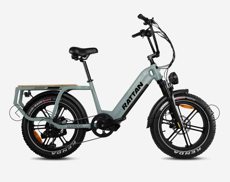 Rattan Cargo Quercus eBike/Wellbots