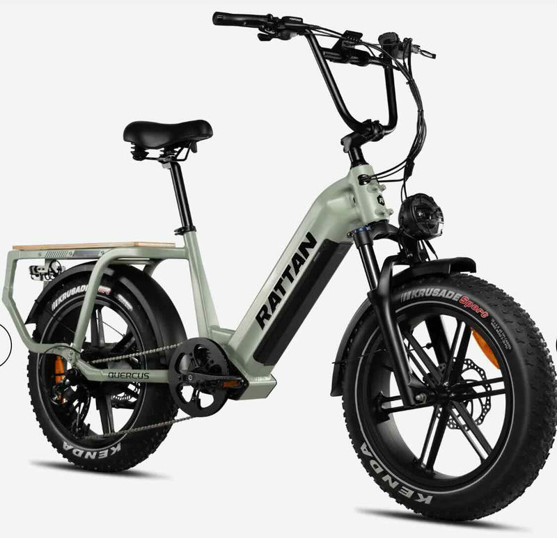 Rattan Cargo Quercus eBike/Wellbots