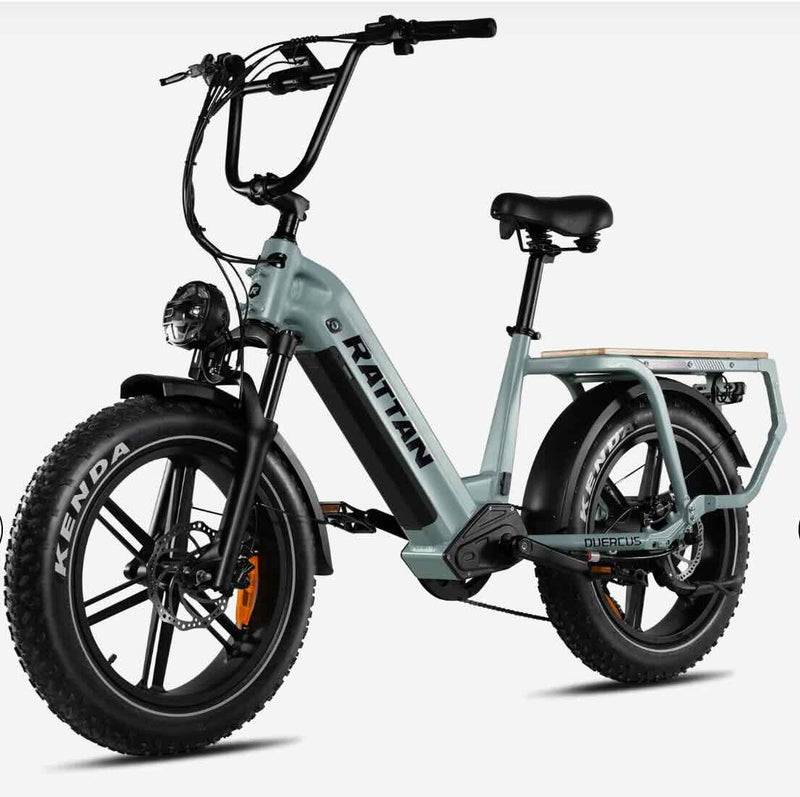 rattan electric bicycle Rattan Cargo Quercus eBike