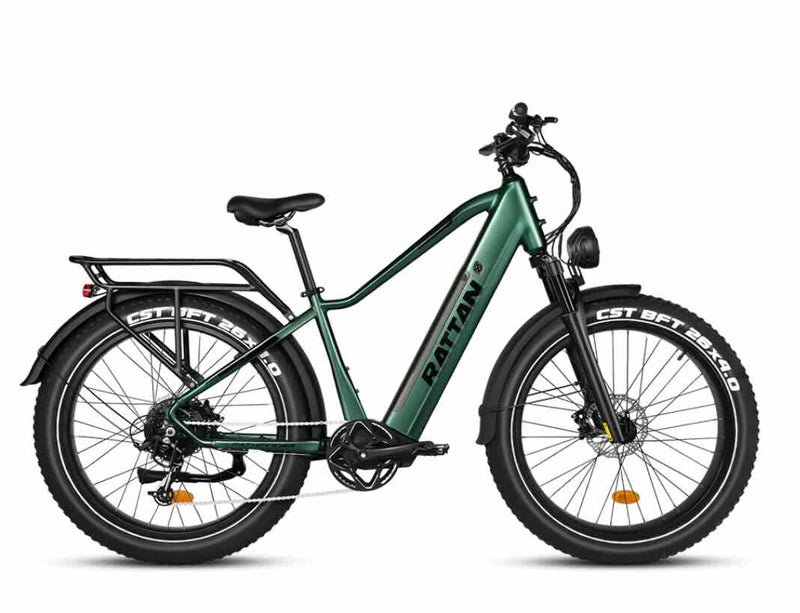 Rattan Pathfinder 750W Fat Tire Ebike / Wellbots