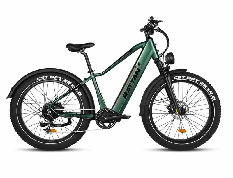 Rattan Pathfinder 750W Fat Tire Ebike / Wellbots