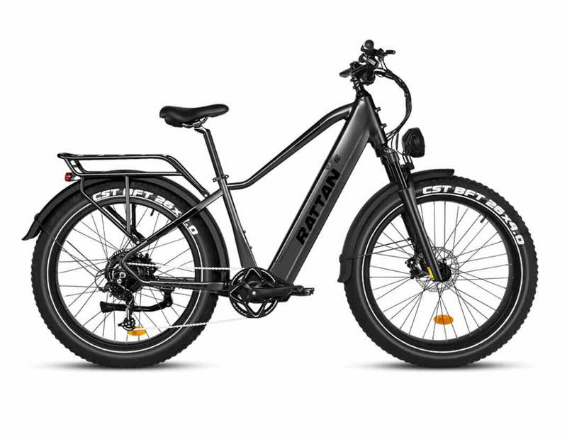 Rattan Pathfinder 750W Fat Tire Ebike / Wellbots