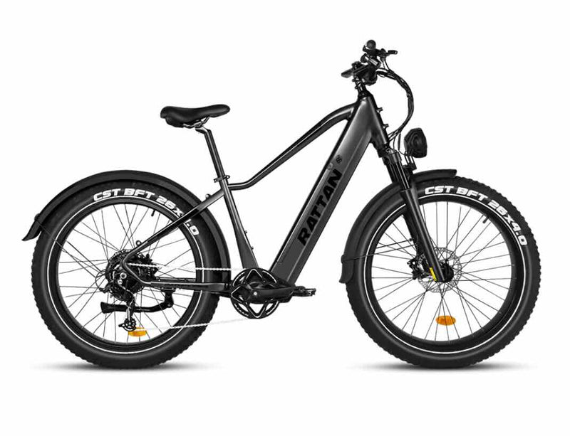 Rattan Pathfinder 750W Fat Tire Ebike / Wellbots