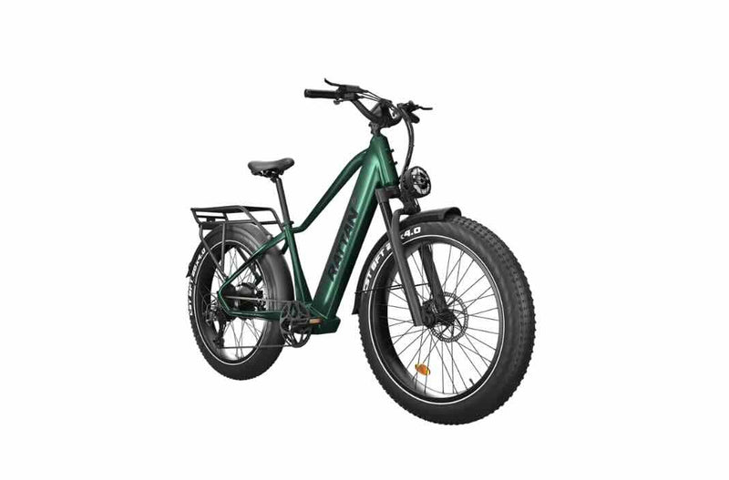 Rattan Pathfinder 750W Fat Tire Ebike / Wellbots