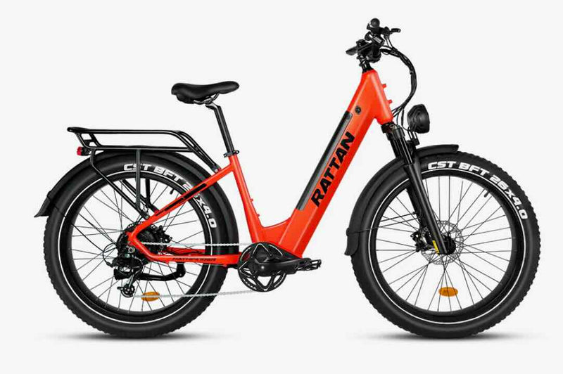 Rattan Pathfinder 750W Step Through eBike / wellbots