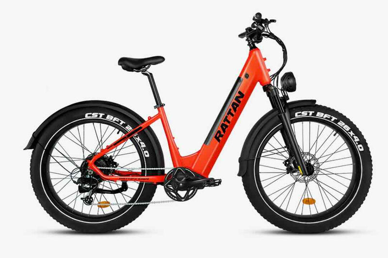 Rattan Pathfinder 750W Step Through eBike / wellbots